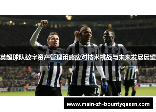 英超球队数字资产管理策略应对技术挑战与未来发展展望